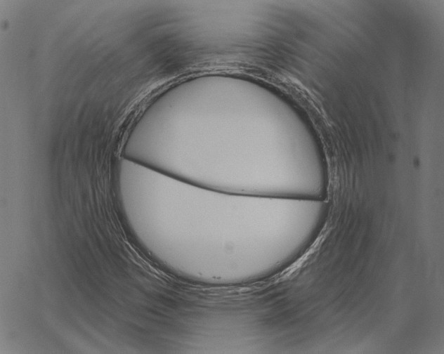 X0000066951449200604211803