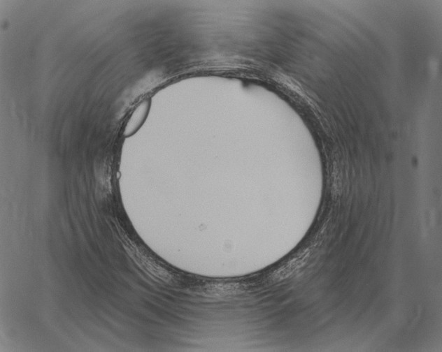 X0000066951451200604211803