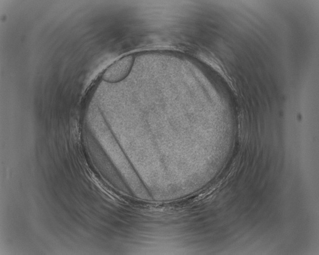 X0000066951452200604211803