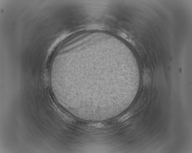 X0000066951454200604211803