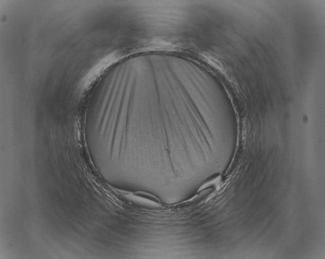 X0000066951455200604211803