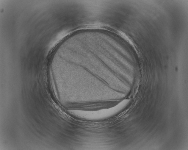 X0000066951456200604211803