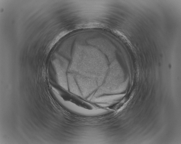 X0000066951457200604211803