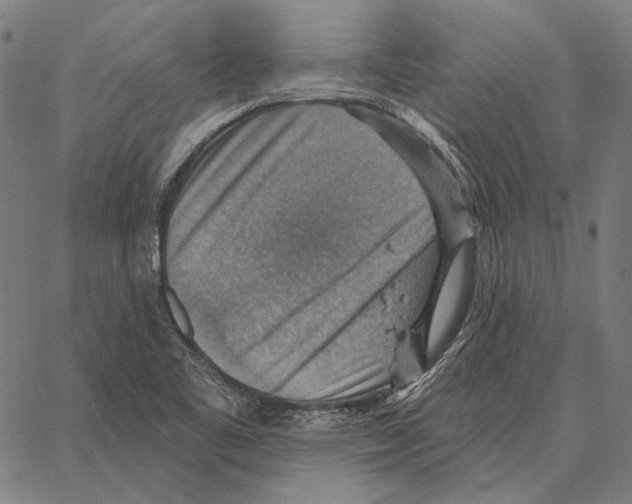 X0000066951461200604211803