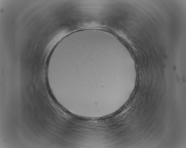 X0000066951463200604211803