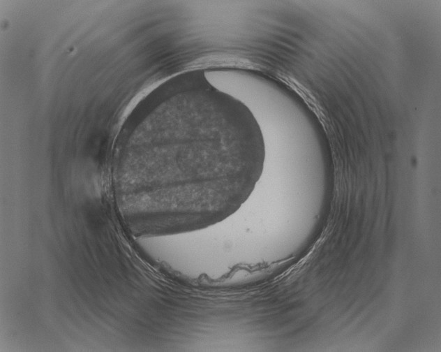 X0000066951465200604211803