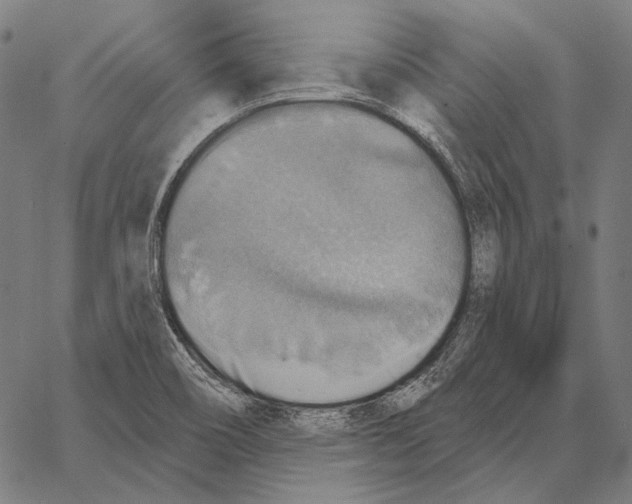 X0000066951466200604211803