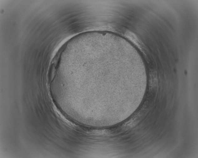 X0000066951468200604211803