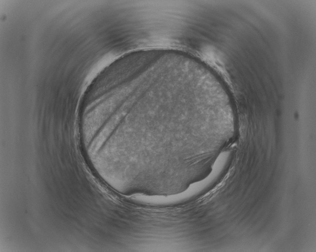 X0000066951469200604211803