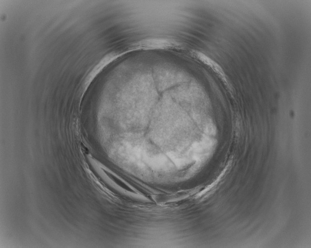 X0000066951473200604211803