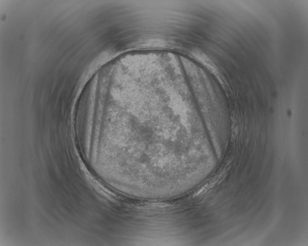 X0000066951475200604211803