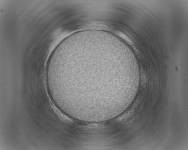 X0000066951478200604211802