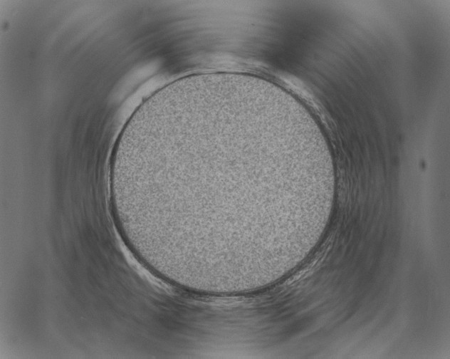 X0000066951479200604211802