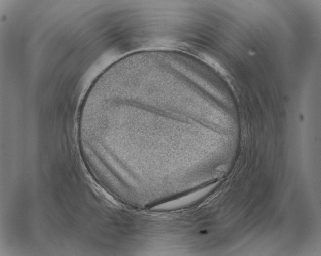 X0000066951480200604211802