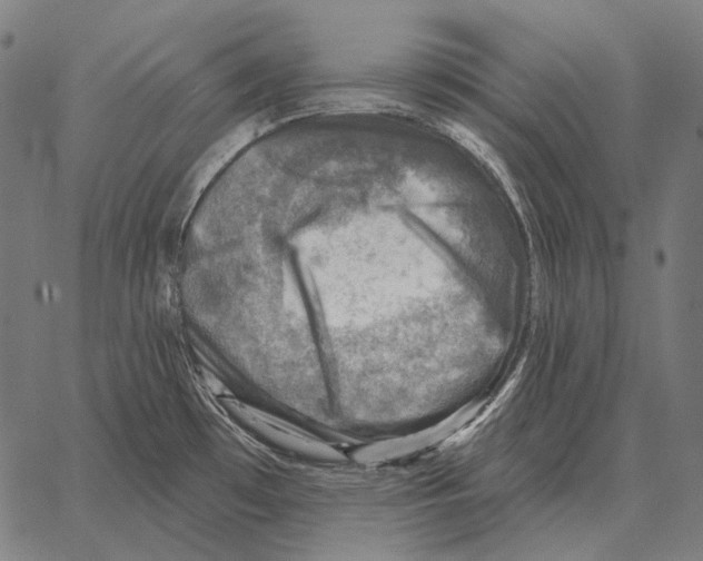 X0000066951481200604211802