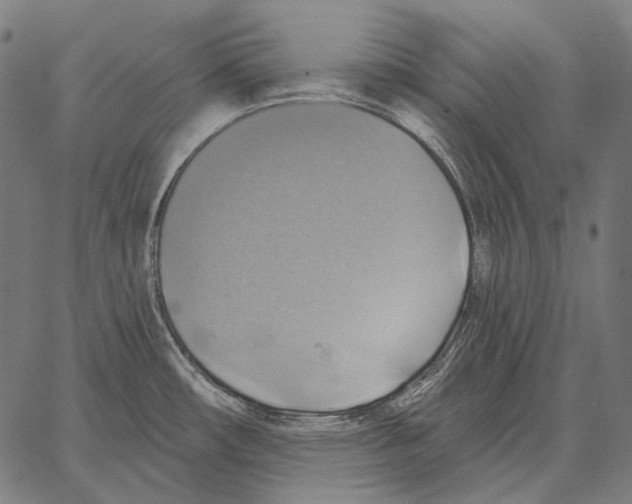 X0000066951482200604211802