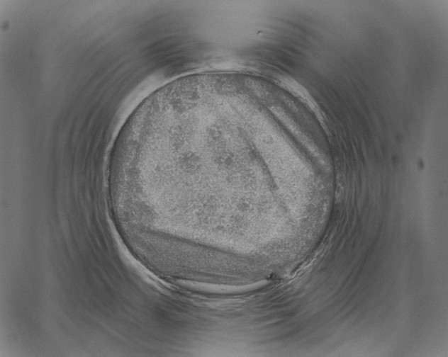 X0000066951483200604211802