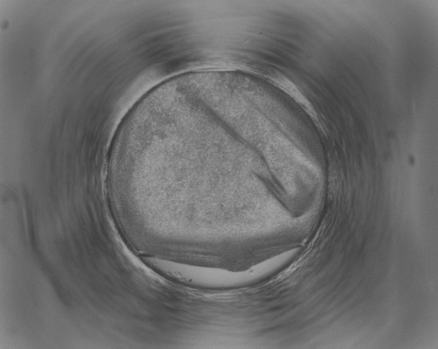 X0000066951484200604211802