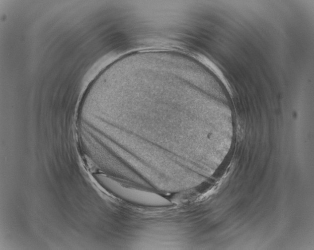 X0000066951485200604211802