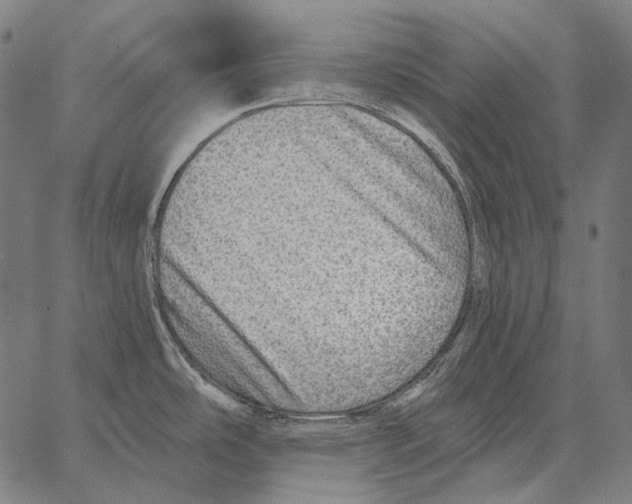 X0000066951486200604211802