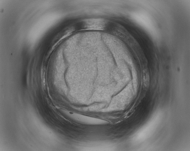 X0000066951487200604211802