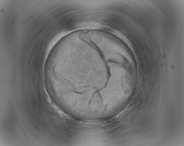 X0000066951488200604211802