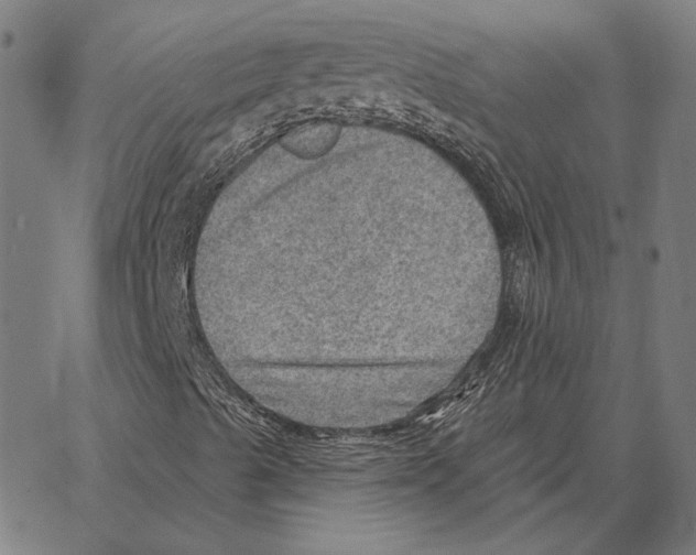 X0000066951489200604211802