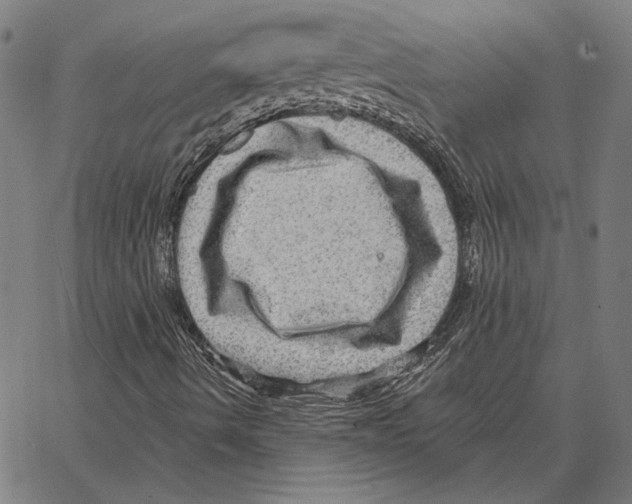 X0000066951490200604211802