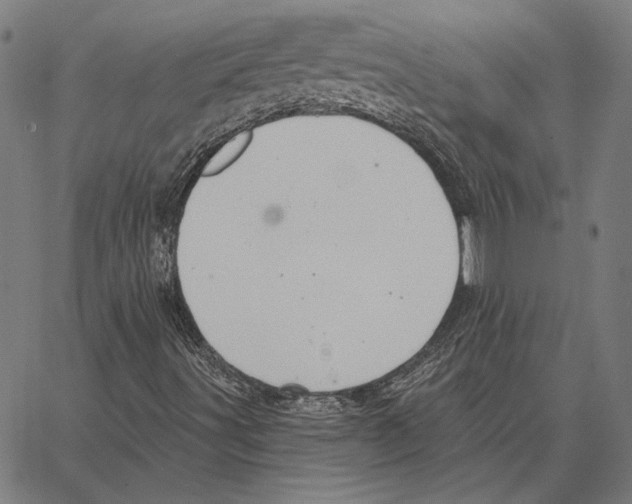 X0000066951491200604211802