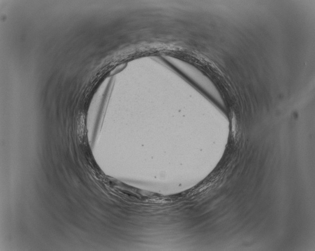 X0000066951492200604211802