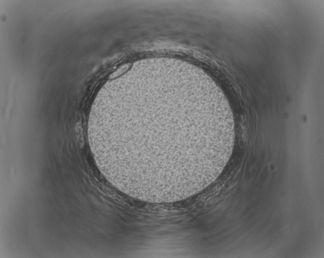 X0000066951493200604211802