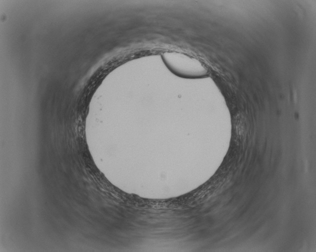 X0000066951495200604211802