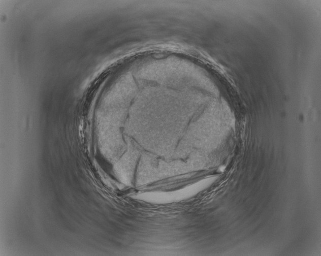 X0000066951496200604211802