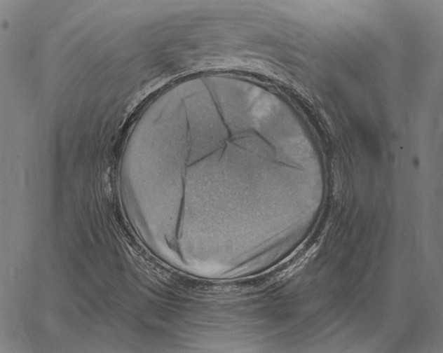 X0000066951497200604211802