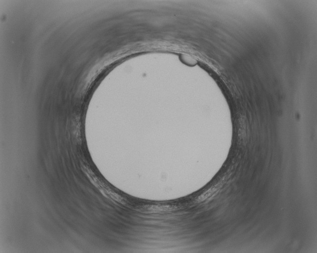 X0000066951499200604211802