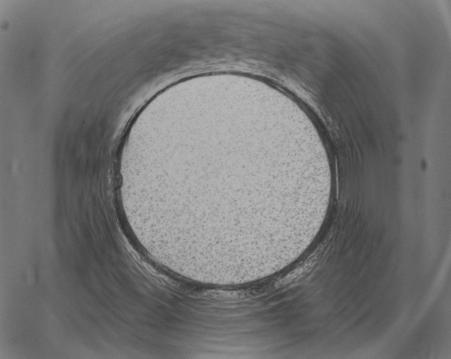 X0000066951500200604211802