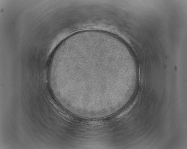 X0000066951501200604211802