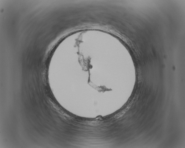 X0000066951502200604211802