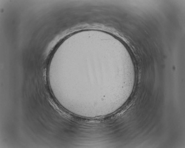 X0000066951503200604211802