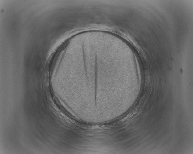 X0000066951504200604211802