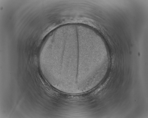 X0000066951505200604211802