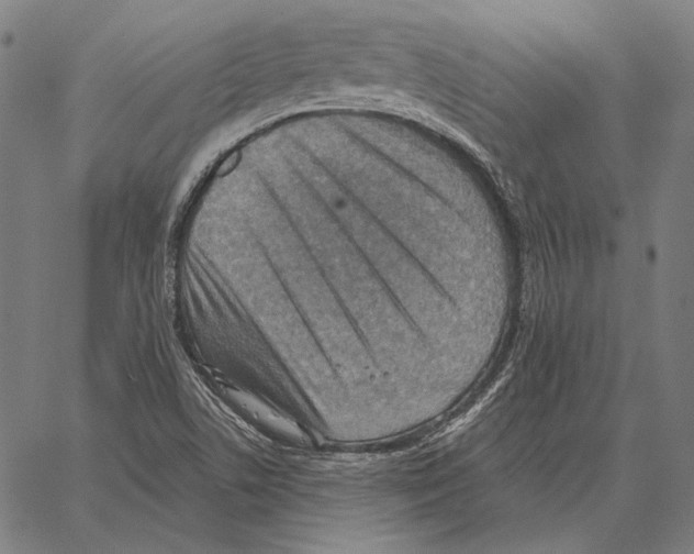 X0000066951506200604211802