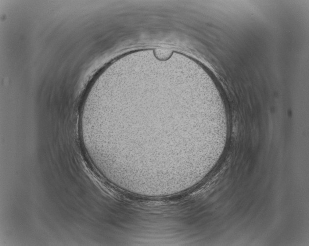 X0000066951507200604211802