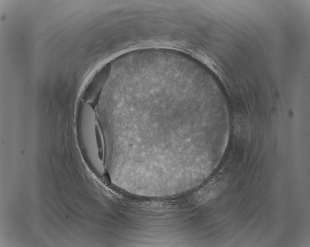 X0000066951508200604211802