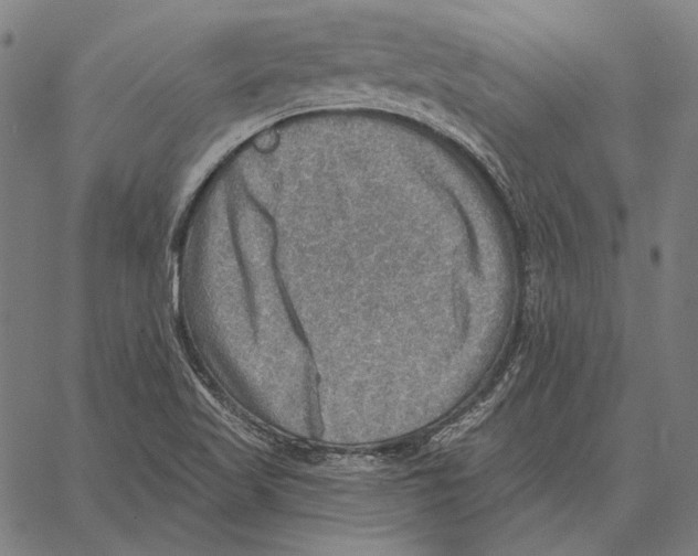 X0000066951509200604211802