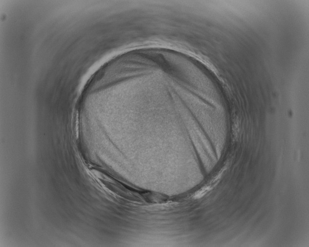 X0000066951510200604211802