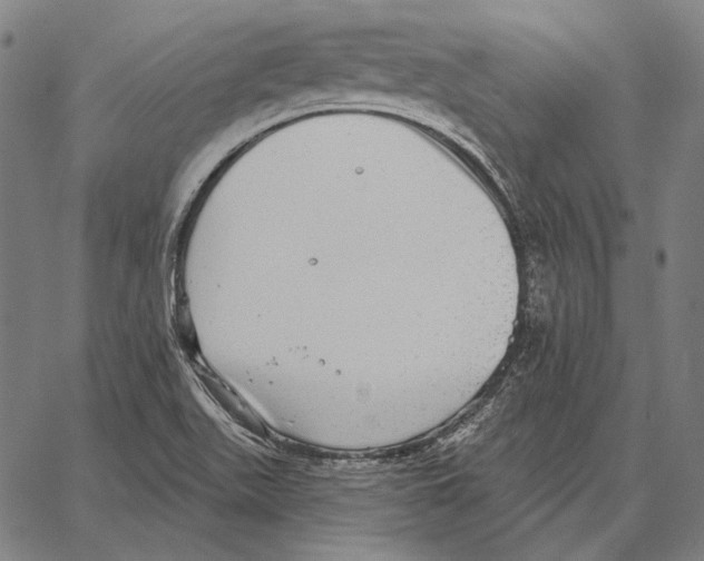 X0000066951511200604211802