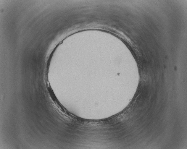 X0000066951512200604211802