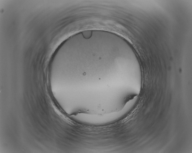 X0000066951515200604211802