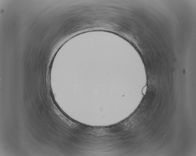 X0000066951516200604211802